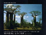 madacascar baobab